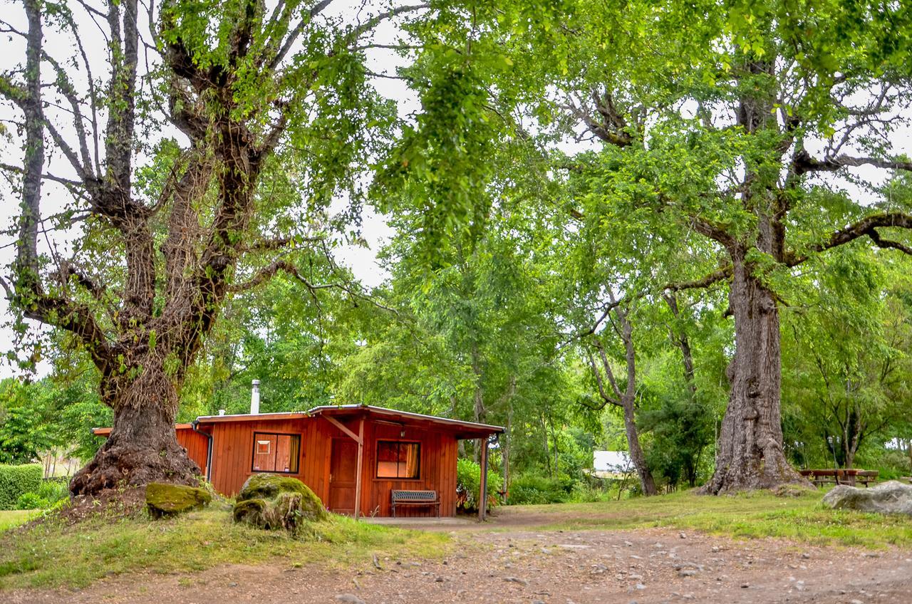 Cabanas Aylen Hotell Pucón Rom bilde