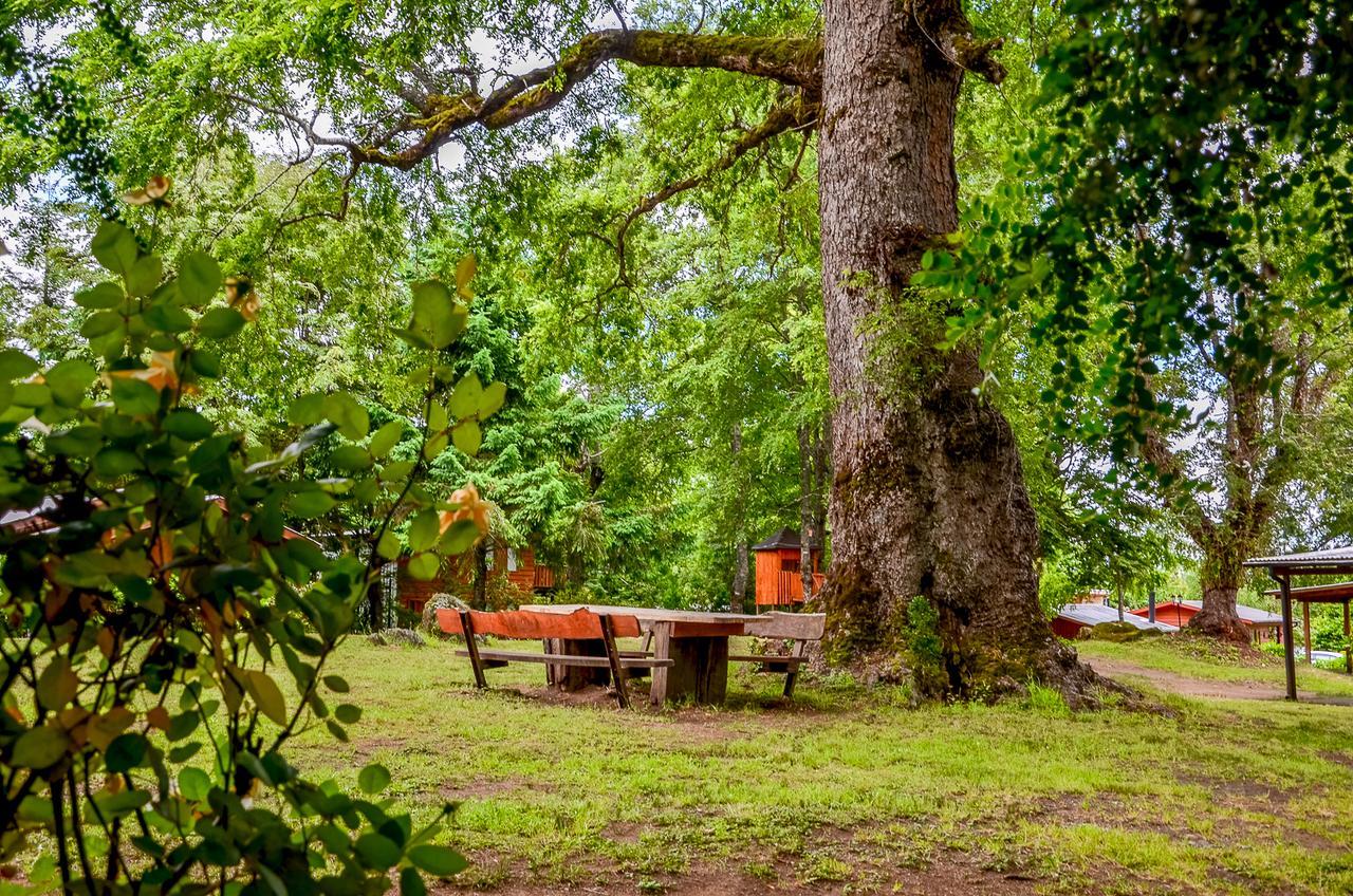 Cabanas Aylen Hotell Pucón Eksteriør bilde